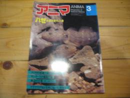 月刊誌 アニマ　№108　1982年3月号　特集：ハゼ　水底の愛きょう者