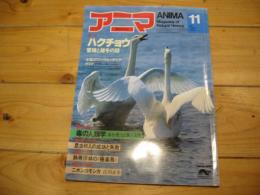 月刊誌 アニマ　№117　1982年11月号　特集：ハクチョウ　繁殖と越冬の謎