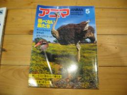 月刊誌 アニマ　№110　1982年5月号　特集：飛べない鳥たち