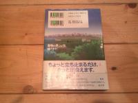 動物の見つけ方、教えます! : 都会の自然観察入門
(Chart books special issue)