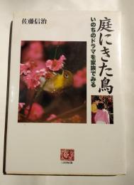 庭にきた鳥　いのちのドラマを家族でみる