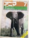 アニマ　1984年7月号　No.137　特集：サファリ　アフリカ・野生の旅
