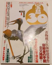 宝島30　1995年1月号