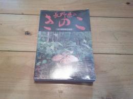 長野県のきのこ
