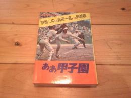 ああ甲子園 : 高校野球熱闘史
改訂版