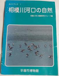 相模川河口の自然