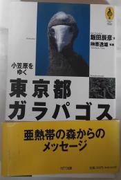 東京都ガラパゴス : 小笠原をゆく