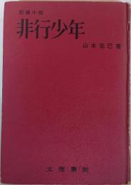 非行少年 : 記録小説
