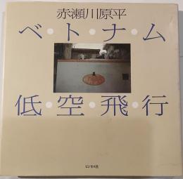 ベトナム低空飛行