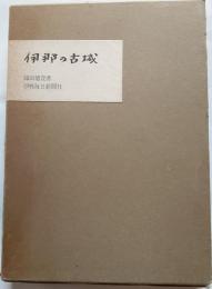 伊那の古城