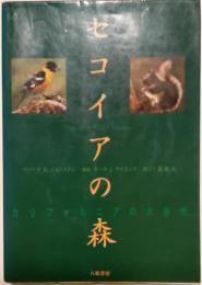 セコイアの森　カリフォルニアの大自然