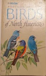 ＢＩＲＤＳ of North Ａｍｅｒｉｃａ 北アメリカの鳥：図鑑