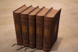 Gesammelte Schriften  5冊12巻