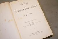 Geschichte der Deutschen National-Litteratur