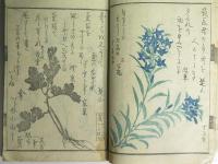 名家画譜 艸名集　春冬部