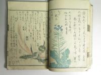 名家画譜 艸名集　春冬部