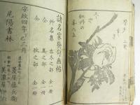 名家画譜 艸名集　春冬部