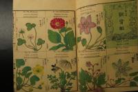 有用植物図説　巻3　彩色木版