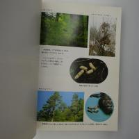 小菅・万仏の自然