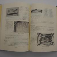 小菅・万仏の自然