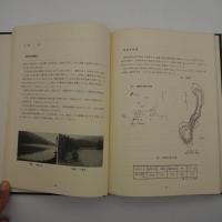 斑尾山系の自然