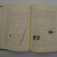 斑尾山系の自然