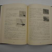 斑尾山系の自然