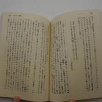 みだれ髪の系譜　-講談社学術文庫-