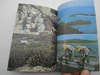 黒真珠物語　-そのふるさと沖縄の海と風土-