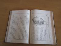 畜産学教科書　　各論　