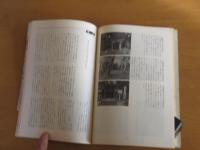 関東中心　平将門故跡写真資料集　　文・山内一雄　写真・斎藤宗良　　