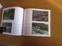 日本の花　1　里山・高原・鉱山・北限の島に咲く　【図録】