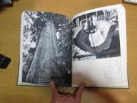 写真集　銘木誕生　　【図録】