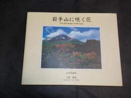 岩手山に咲く花 山の写真帖