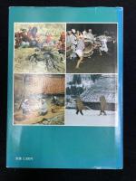 民俗と芸能