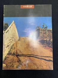 岸田劉生展 : 没後50年記念