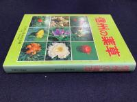 信州の薬草
