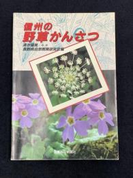 信州の野草かんさつ