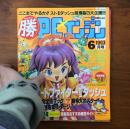 マルカツPCエンジン 1993年6月号 ストリートファイターIIダッシュ イースIV