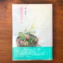 野花を生ける : しろうとの茶花