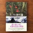 インカの野生蘭