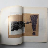 Les plaintifs, les bêtes, les politiques トーマス・ヒルシュホルン作品集