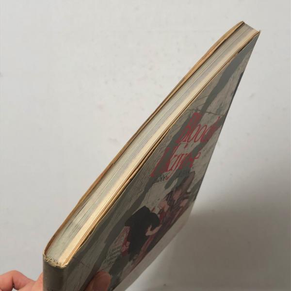 無惨絵 : 江戸昭和競作 英名二十八衆句 Bloody ukiyo-e in