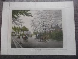 東京上野公園之景　彩色砂目石版画