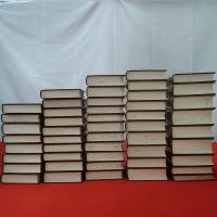 レーニン全集 本巻48巻+別巻2巻+5版と4版の対照表 全48巻揃い