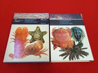 学研中高生図鑑　第9巻　水生動物