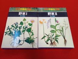 学研中高生図鑑　10+11巻　野草　Ⅰ+Ⅱ　2冊セット