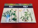 学研中高生図鑑　10+11巻　野草　Ⅰ+Ⅱ　2冊セット