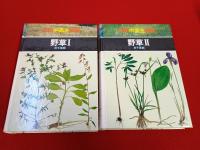 学研中高生図鑑　10+11巻　野草　Ⅰ+Ⅱ　2冊セット