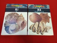 学研中高生図鑑　7+8巻　貝　Ⅰ+Ⅱ　2冊セット